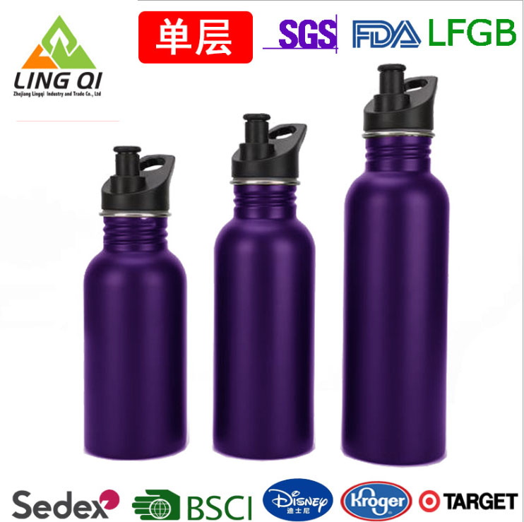 750ML Single Wall Stainless Steel Bottle