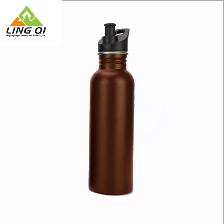 750ML Single Wall Stainless Steel Bottle