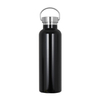 Portable Insulated 750ML Drinking Vacuum Sport Stainless Steel Flask Water Bottle